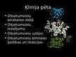 Презентация 'Olbaltumvielas', 13.