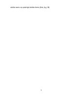 Реферат 'Lasītprasmes un tekstpratības attīstīšana sākumskolas klasēs latviešu valodas ap', 5.