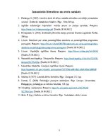 Реферат 'Lasītprasmes un tekstpratības attīstīšana sākumskolas klasēs latviešu valodas ap', 19.