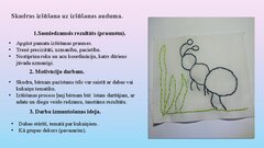 Презентация 'Šūšanas mape', 12.