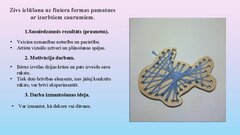 Презентация 'Šūšanas mape', 13.