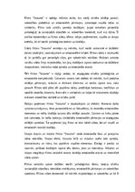 Эссе 'Filmas "Straume" analīze', 1.