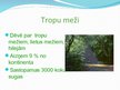 Презентация 'Tropu meži', 2.