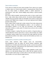 Эссе 'Šumeru vēsture, kultūra, mitoloģija, sabiedrība un kultūras mantojums', 9.