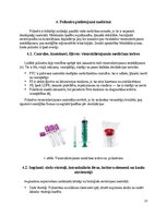 Реферат 'Polimēri', 13.