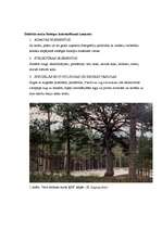 Конспект 'Dabisko mežu biotops un ekosistēmas ilglaicība', 2.