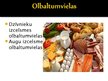 Презентация 'Olbaltumvielu funkcijas organismā', 4.