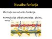 Презентация 'Olbaltumvielu funkcijas organismā', 9.