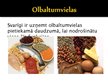Презентация 'Olbaltumvielu funkcijas organismā', 14.