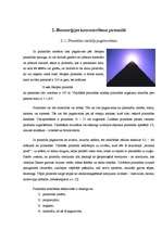 Реферат 'Bioenerģijas izmantošana un koncentrēšana piramīdā', 8.