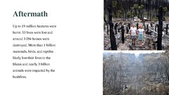 Презентация 'Bushfires in Australia', 13.