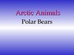 Презентация 'Arctic Animals - Polar Bears', 1.