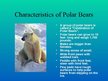 Презентация 'Arctic Animals - Polar Bears', 2.