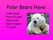 Презентация 'Arctic Animals - Polar Bears', 3.