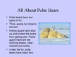 Презентация 'Arctic Animals - Polar Bears', 4.