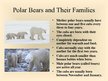 Презентация 'Arctic Animals - Polar Bears', 6.
