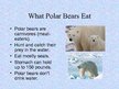 Презентация 'Arctic Animals - Polar Bears', 8.