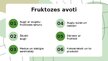 Презентация 'Fruktoze', 5.