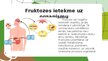 Презентация 'Fruktoze', 8.