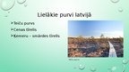 Презентация 'Purva ekosistēma', 8.