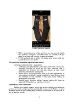 Дипломная 'Skolēnu mācību uzņēmums “UTOPIA”', 9.