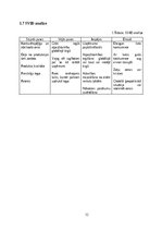 Дипломная 'Skolēnu mācību uzņēmums “UTOPIA”', 12.