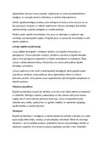 Эссе 'Digitālā transformācija ekonomikā: iespējas un izaicinājumi', 2.