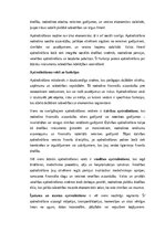 Эссе 'Apdrošināšanas nozīme mūsdienu ekonomikā un sabiedrībā: veidi, funkcijas, tenden', 2.