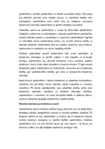 Эссе 'Apdrošināšanas nozīme mūsdienu ekonomikā un sabiedrībā: veidi, funkcijas, tenden', 6.