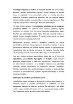 Эссе 'Apdrošināšanas nozīme mūsdienu ekonomikā un sabiedrībā: veidi, funkcijas, tenden', 8.