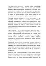 Эссе 'Apdrošināšanas nozīme mūsdienu ekonomikā un sabiedrībā: veidi, funkcijas, tenden', 9.