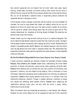 Эссе 'Pets and responsibility in a young person’s life', 9.