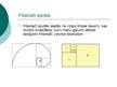 Презентация 'Fibonači skaitļi dabā', 4.