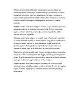 Эссе 'Nacionālā valoda kā kultūras un identitātes pamats', 3.