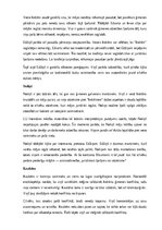 Конспект 'Rūdolfa Blaumaņa lugas “Indrāni” analīze', 7.