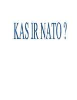 Реферат 'NATO', 1.