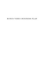 Бизнес план 'Bonus Video Business Plan', 1.