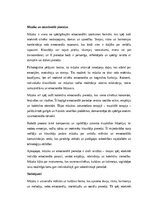 Эссе 'Mūzika: skaņas, emocijas un kultūras nozīme', 4.