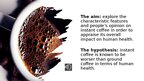 Презентация 'The impact of instant coffee on human's health', 2.