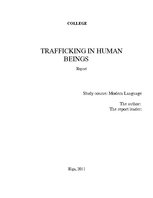 Реферат 'Trafficking in Human Beings', 1.