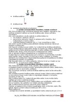 Образец документа 'Darba aizsardzības instrukcija drošības jostu/siksnu un sistēmu pareizai lietoša', 2.