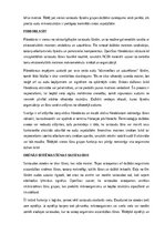 Конспект 'Dzīvnieku audu veidi un funkcijas', 16.