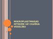 Презентация 'Mikroplastmasa cilvēka organismā', 5.