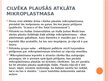 Презентация 'Mikroplastmasa cilvēka organismā', 20.