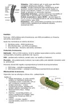 Конспект 'RSU Molekulārā un šūnu bioloģija 1. kolokvijam vajadzīgais konspekts', 3.