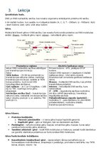 Конспект 'RSU Molekulārā un šūnu bioloģija 1. kolokvijam vajadzīgais konspekts', 5.