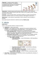Конспект 'RSU Molekulārā un šūnu bioloģija 1. kolokvijs', 11.
