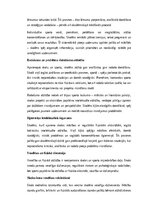 Эссе 'Skola un sports kā holistiskas skolēna attīstības dimensijas: intelekts, ķermeni', 6.