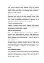 Эссе 'Skola un sports kā holistiskas skolēna attīstības dimensijas: intelekts, ķermeni', 8.