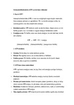 Конспект 'Adenozīntrifosforskābe (ATP) un tās loma vielmaiņā', 1.